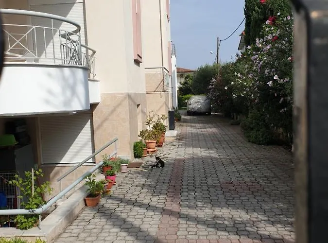 Iliana House * 네오이 에피바타이