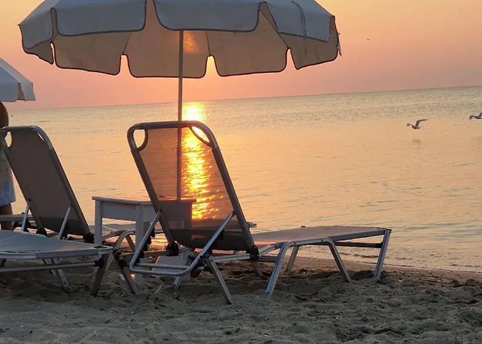 Iliana House