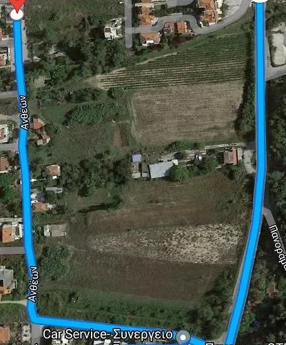 Iliana House *