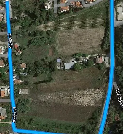 Iliana House *